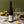 Load image into Gallery viewer, Delta Pinot Blanc 2020 - Six Pack