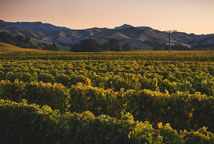 Let the fun begin! The 2024 harvest season is underway.