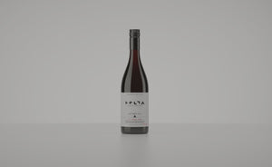 Wine of Provenance Trophy Awarded to Delta