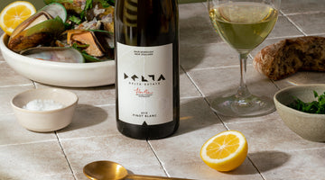 Pinot Blanc – Delta Estate's Newest Adventure