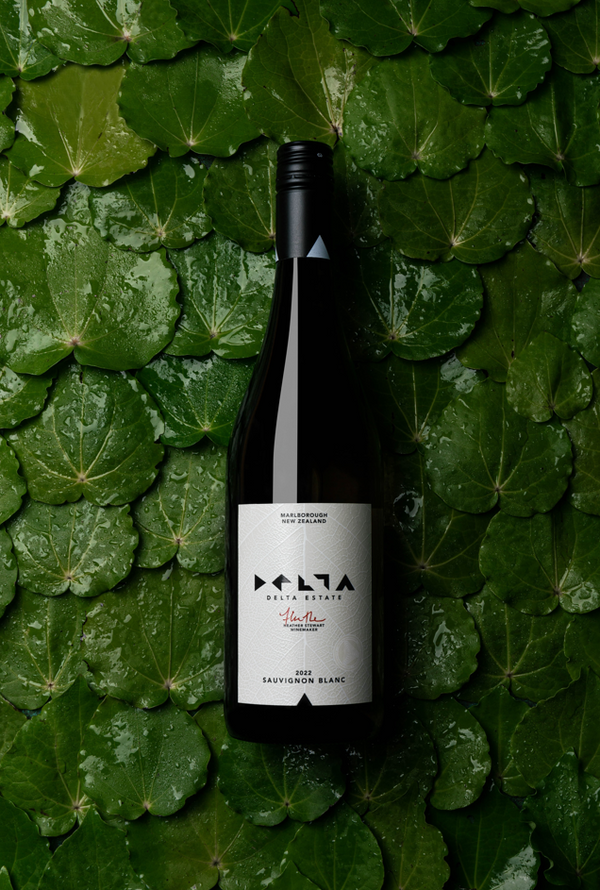 Delta Sauvignon Blanc 2023 - Six Pack